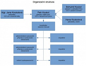 Organizační struktura